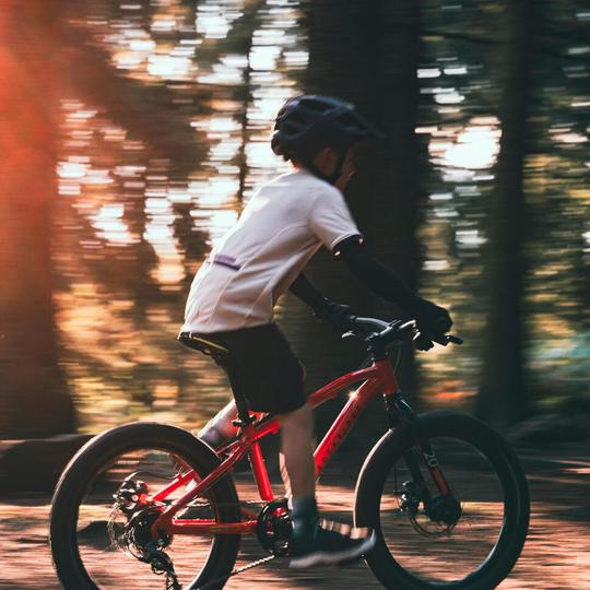 ROCKRIDER Детски планински велосипед, 20"